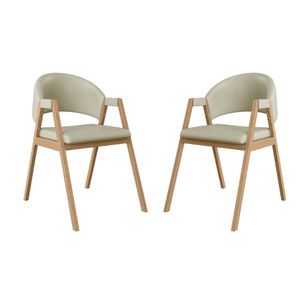 Kit 2 Cadeiras Para Mesa de Jantar Moderna Courino - Balaqui