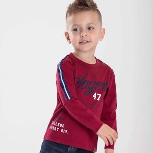 Camiseta Infantil Menino Algodão Vermelho Serelepe