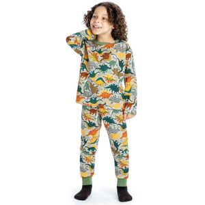 Pijama Brilha Menino No Mundo Dos Dinossauro Elian