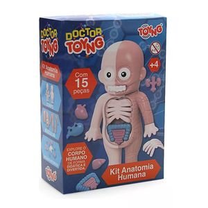 Kit Anatomia Humana Toyng 052612