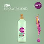 cr-pent-seda-prebioticosbiotina-300ml