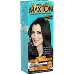 tint-maxton-mini-kit-28-pto-tabac