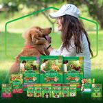 racao-pcaes-dog-chow-carne-100g