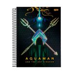 cad-jandaia-cd-1m-80f-aquaman