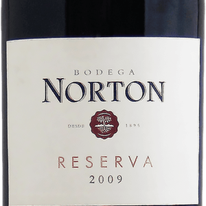 Vinho Tinto Argentino Norton Reserva Syrah