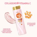 sh-seda-colageno-e-vitamina-c-325ml