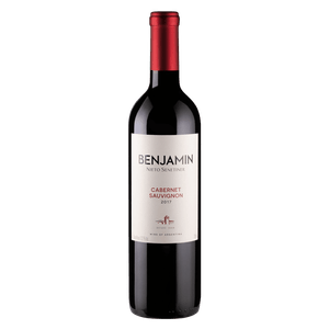 Vinho Argentino Tinto Seco Cabernet Sauvignon 750ml