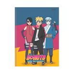 cad-sd-brochurao-cd-80f-boruto