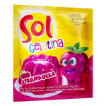 gelatina-sol-framboesa-sache-25g