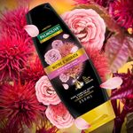 cond-palmolive-l-oils-n-e-hidra-350ml