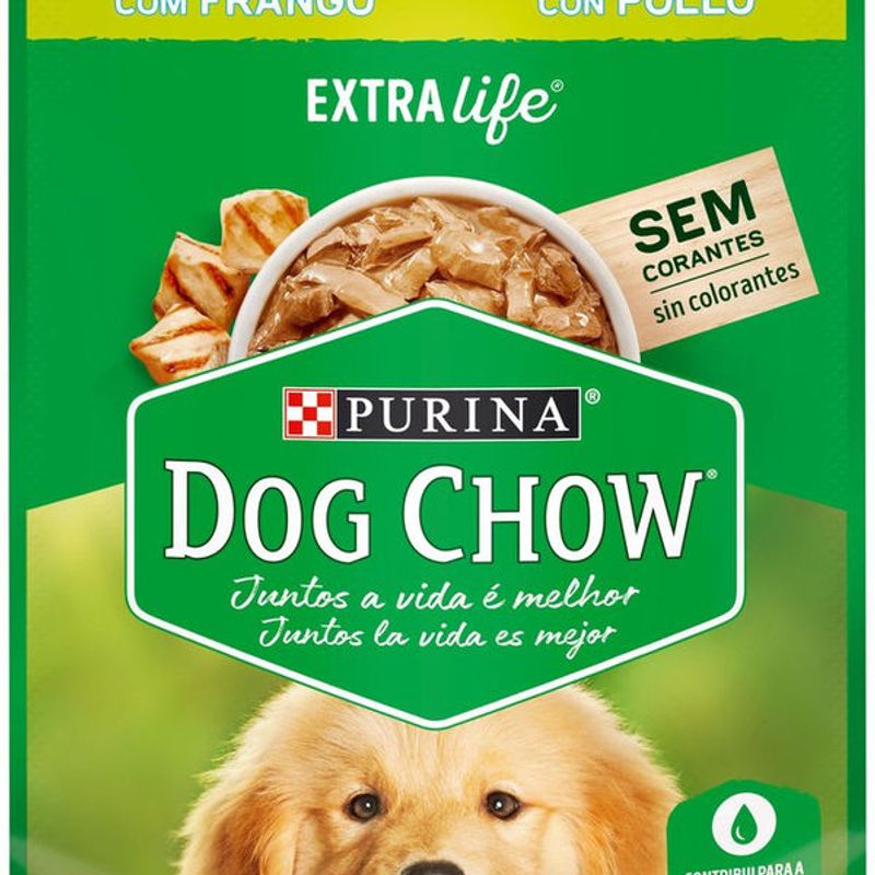 racao-pcaes-dog-chow-file-fgo-100g