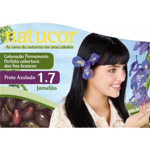 Tintura Permanente Natucor 24G 1.7 Preto Azulado Jamelão Unit