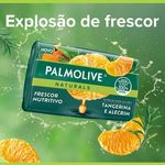 sab-palm-suave-tangerina-e-alecrim-150g