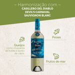 vh-bco-chi-cas-del-di-cab-sauv-750ml