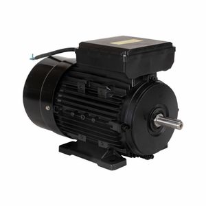 Motor Elétrico de 3CV 127/220V  60Hz 3472 RPM Bivolt Com 2 Pólos e Proteção IP55 YL90L-2 Lynus