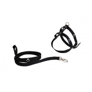 Conjunto de Peitoral e Guia N3 Petmar