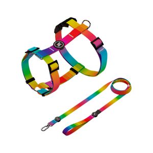 Conjunto Peitoral H e Guia para Cachorro Multipatas Premium PP Rainbow/Arco-íris