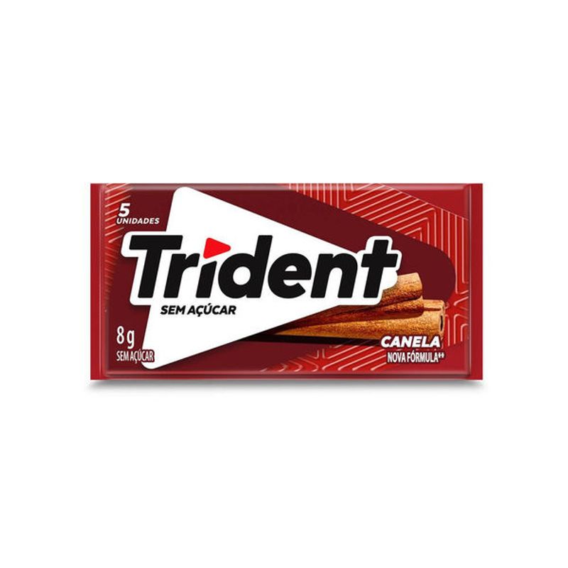 chic-trident-canela-85g