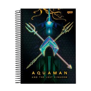 Caderno Jandaia  Aquaman 1 Matéria 80 folhas Sortido