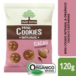 bisc-mae-terra-cook-org-castanha-120g