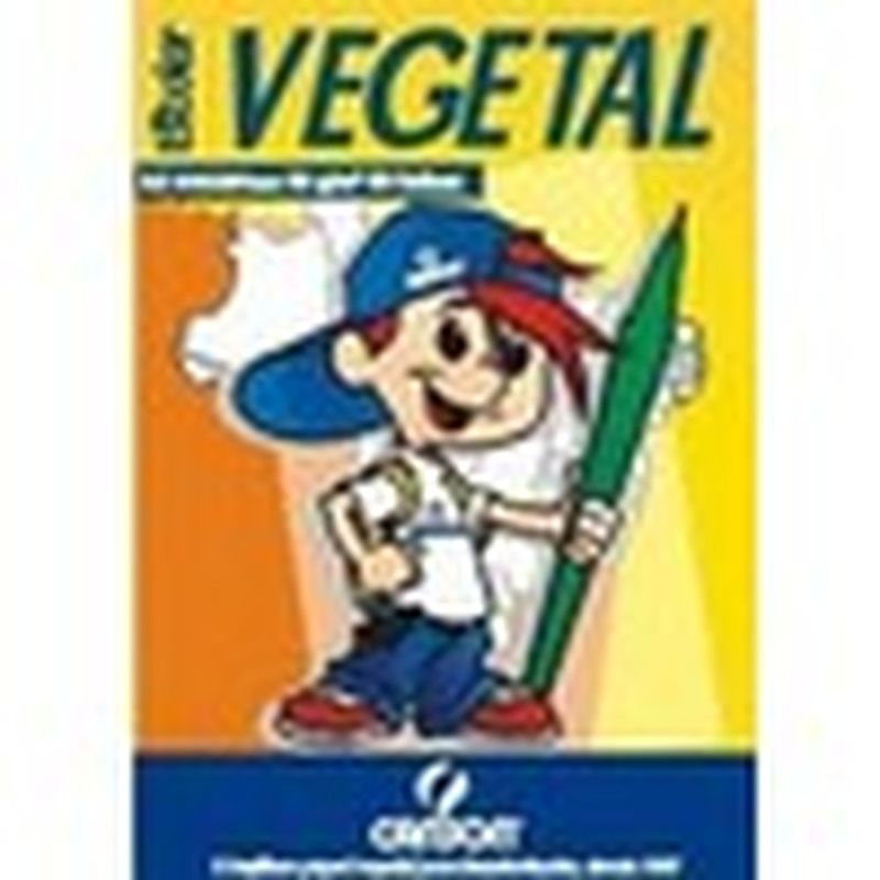 papel-vegetal-canson-a4-60g-10x1