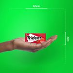 chic-trident-morango-85g