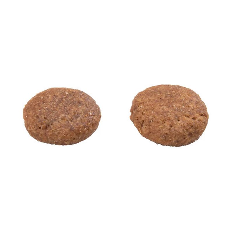 racao-gran-plus-cao-ad-mg-carar-3kg