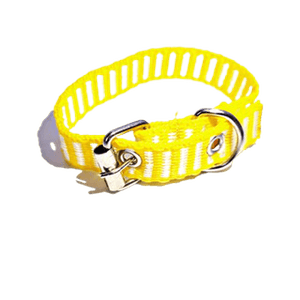 Coleira Pet Mar Nylon N.0