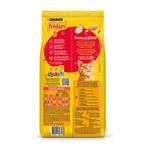 racao-pgato-friskies-del-fazen-3kg