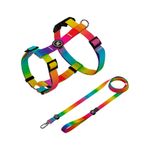 kit-peit-guia-premium-h-arco-iris