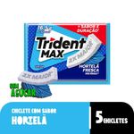 chic-trid-max-hortela-165g