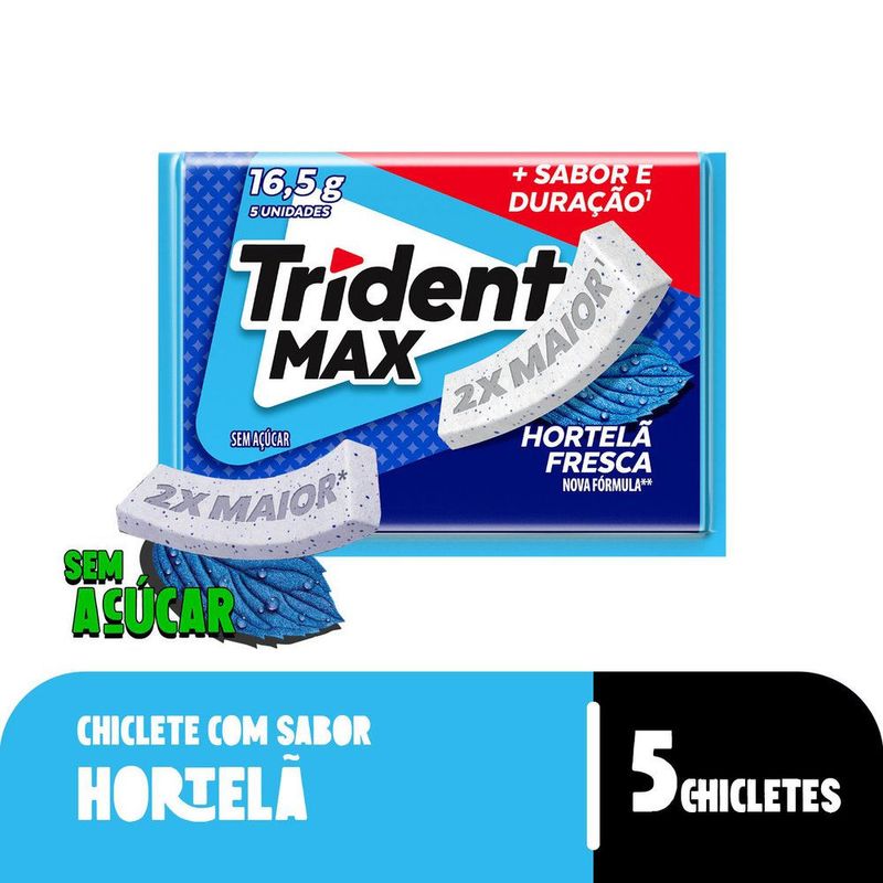 chic-trid-max-hortela-165g