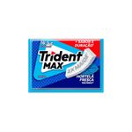 chic-trid-max-hortela-165g