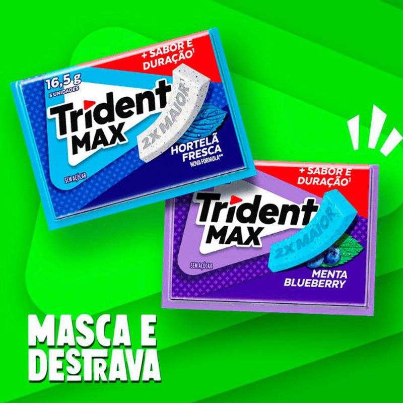 chic-trid-max-hortela-165g