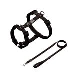 kit-peit-multpatas-prem-g-preto
