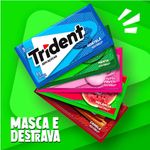 chic-trident-hortela-8g
