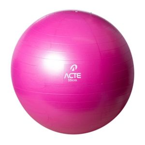 Bola Pilates 55 cm Acte em PVC Anti Estouro Rosa - T9-55RS