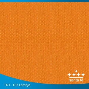 TNT Laranja 40g Santa Fé