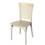 cadeira-plast-forte-plastico-palhinha-nt