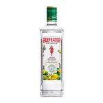 gin-beefeater-botanics-750ml
