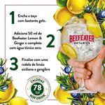 gin-beefeater-botanics-750ml