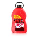 amac-rou-urca-paixao-sedutora-l5p45l
