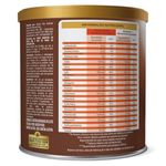 comp-alim-sustagem-choc-400g