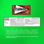 chic-trident-canela-85g