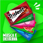 chic-trident-canela-85g