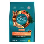 racao-purina-one-gt-ad-castfrasalm-2kg