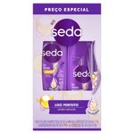kit-shcond-seda-liso-perf-300ml