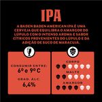 cerveja-baden-ipa-sleek-350ml