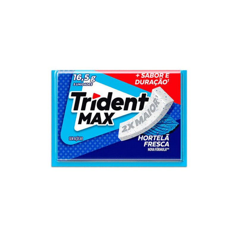 chic-trid-max-hortela-165g