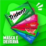 chic-trident-menta-8g